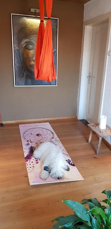 Villa Kleines Haeuschen Im Gruenen Monheim  Esterno foto